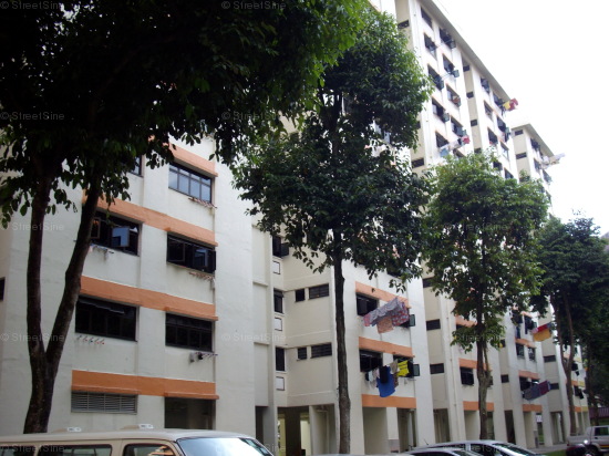 Jurong West Street 52 thumbnail photo